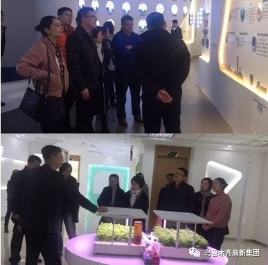 火炬創(chuàng)投開展“民族團(tuán)結(jié)一家親”參觀聯(lián)誼活動 推動創(chuàng)業(yè)投資領(lǐng)域多元融合